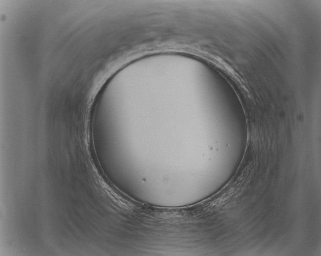 X0000057101512200509301603