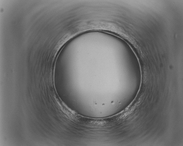 X0000057101513200509301603