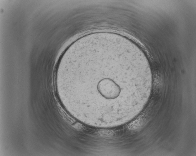 X0000057101514200509301603