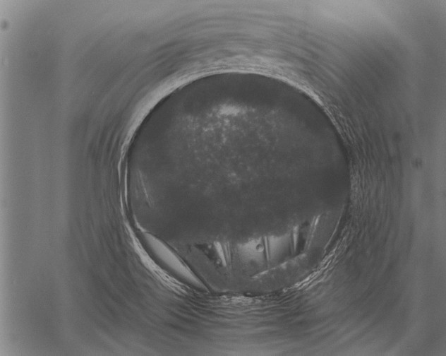 X0000057101515200509301603