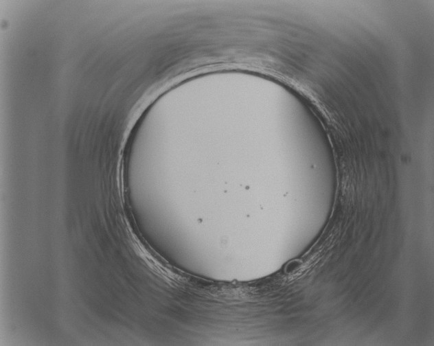 X0000057101516200509301603