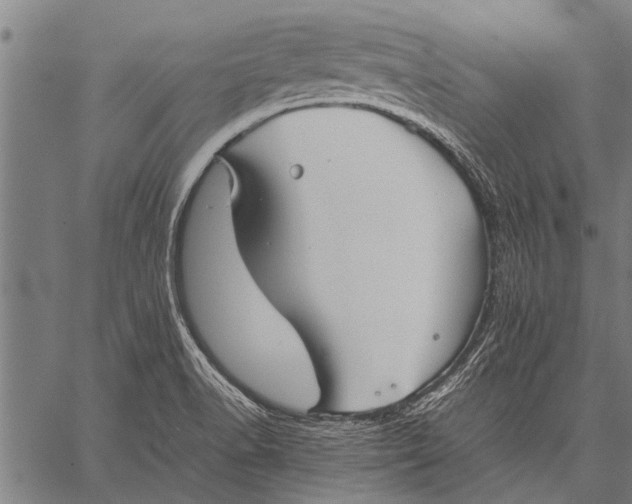 X0000057101518200509301603