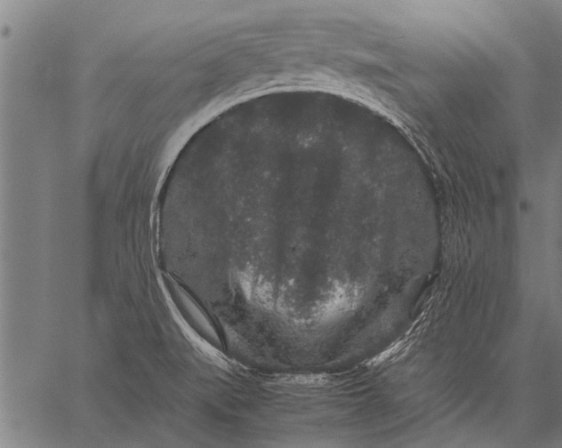 X0000057101519200509301603