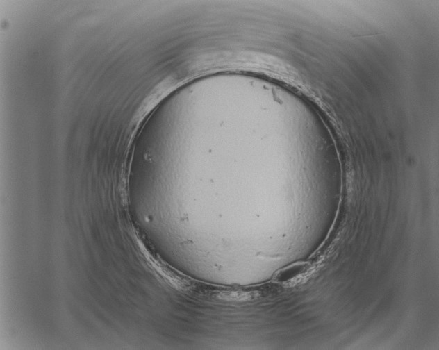 X0000057101521200509301603