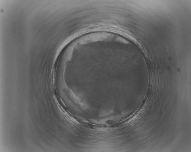 X0000057101522200509301603