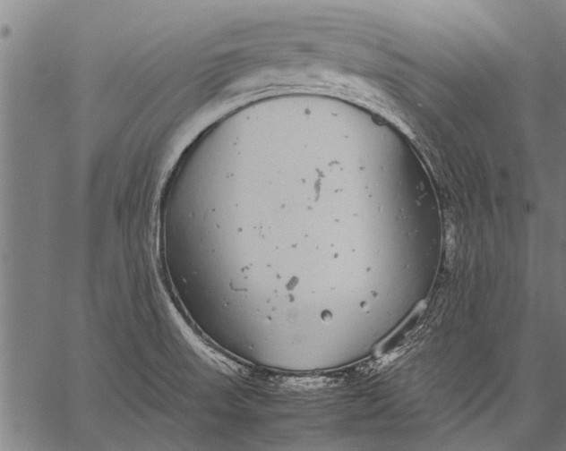 X0000057101523200509301603