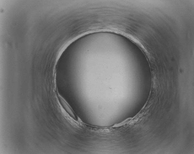 X0000057101524200509301604