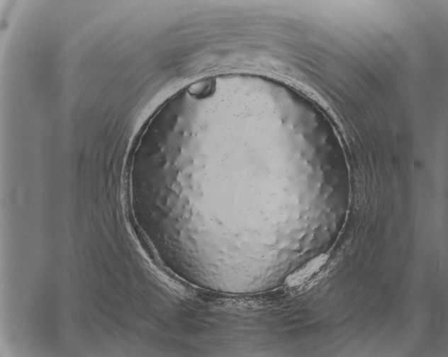 X0000057101525200509301604