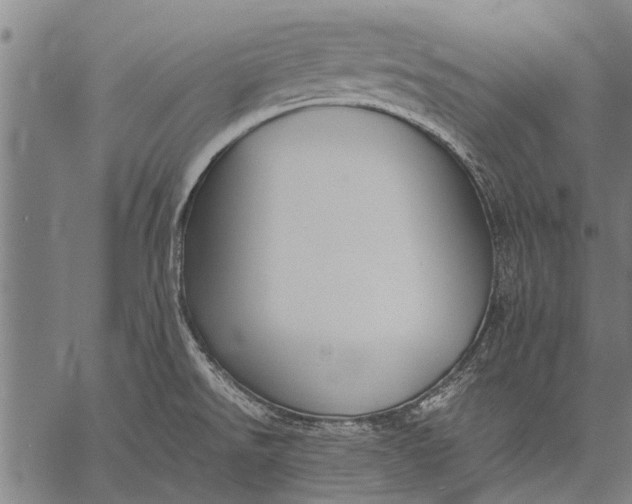 X0000057101526200509301604