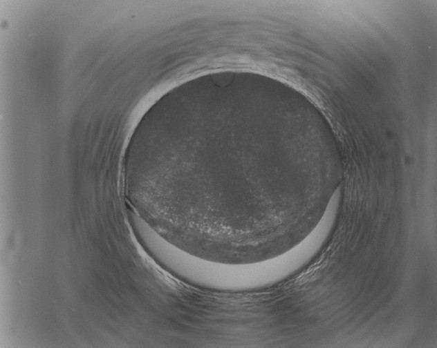 X0000057101527200509301604