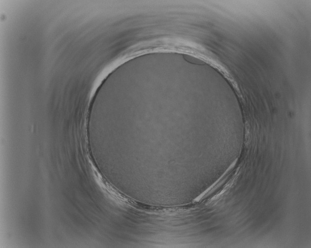 X0000057101530200509301604