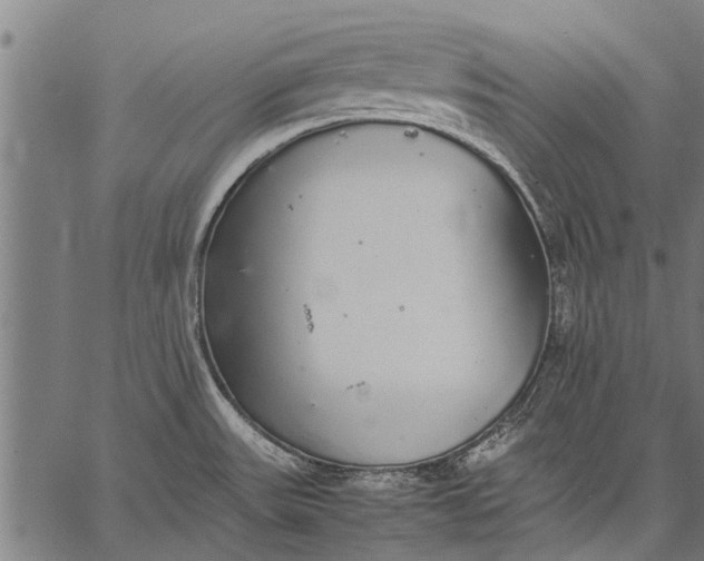 X0000057101531200509301604