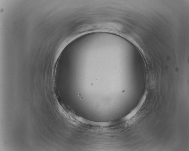 X0000057101532200509301604