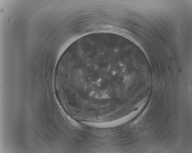 X0000057101533200509301604