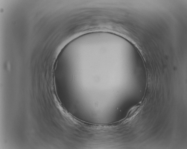 X0000057101534200509301604