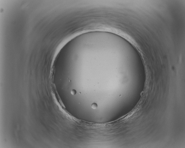 X0000057101536200509301604