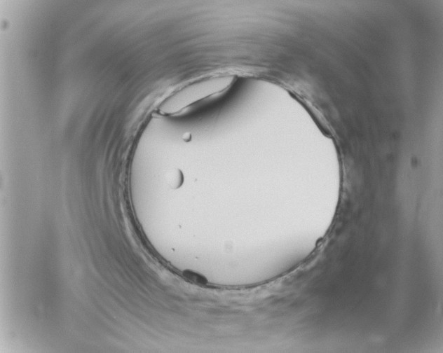 X0000057100001200510071949