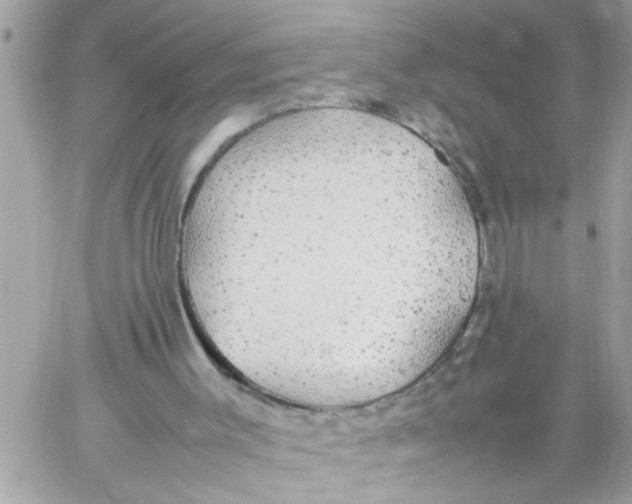 X0000057100003200510071949