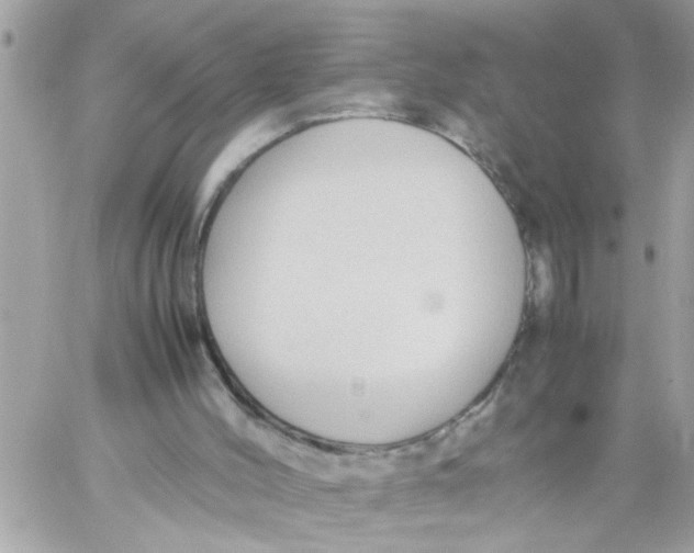 X0000057100004200510071949