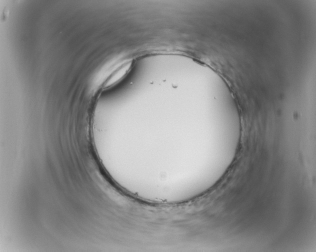 X0000057100005200510071949