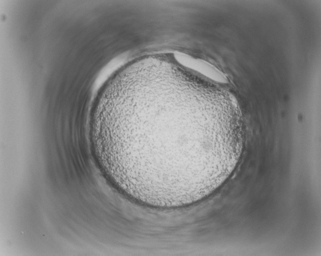 X0000057100006200510071949