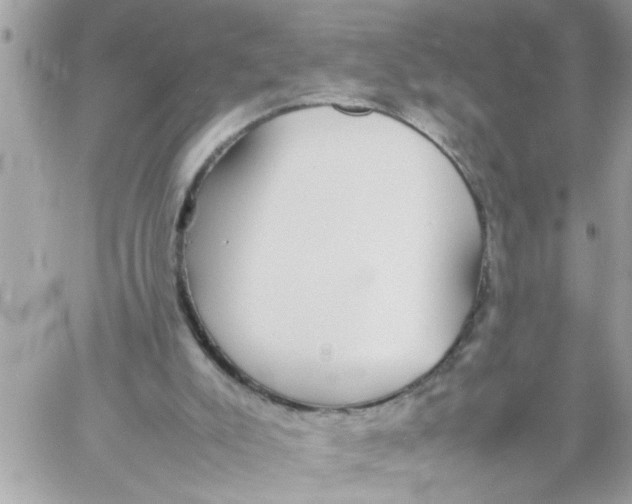 X0000057100007200510071949