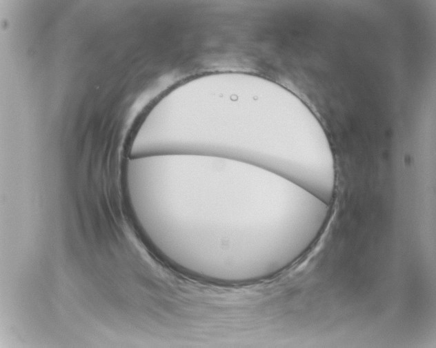 X0000057100008200510071949