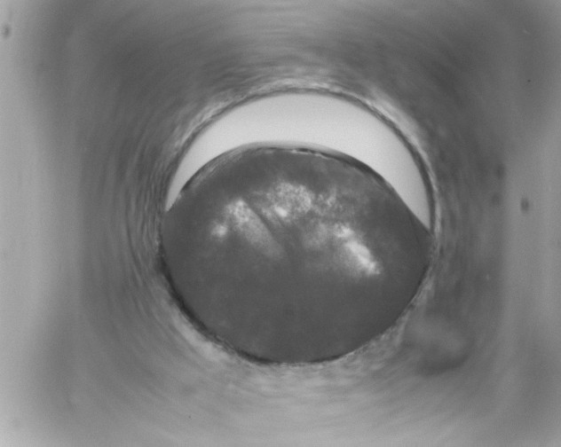 X0000057100009200510071949