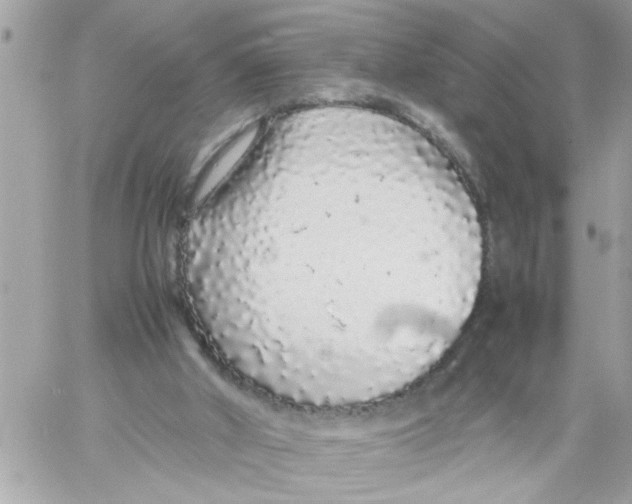 X0000057100010200510071949