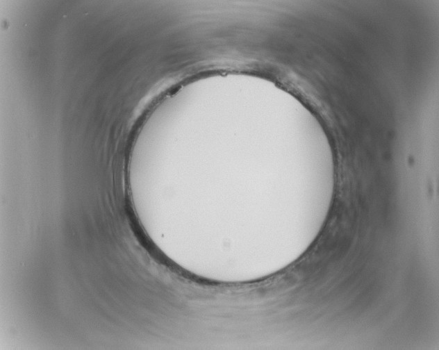 X0000057100011200510071949