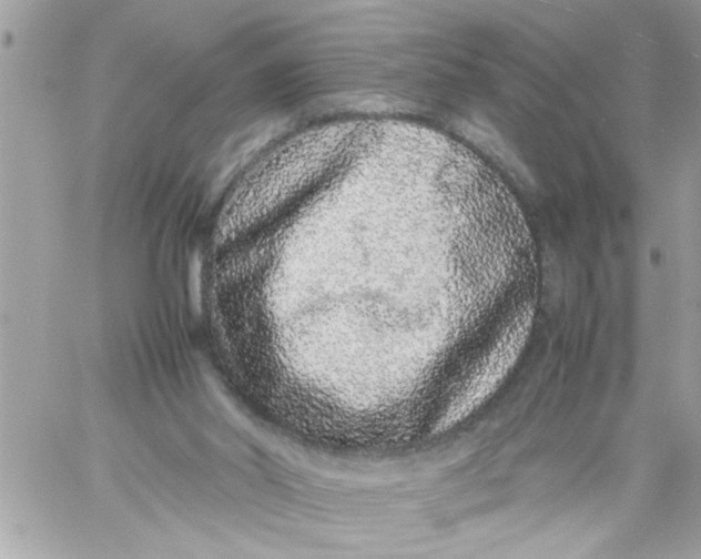 X0000057100014200510071949