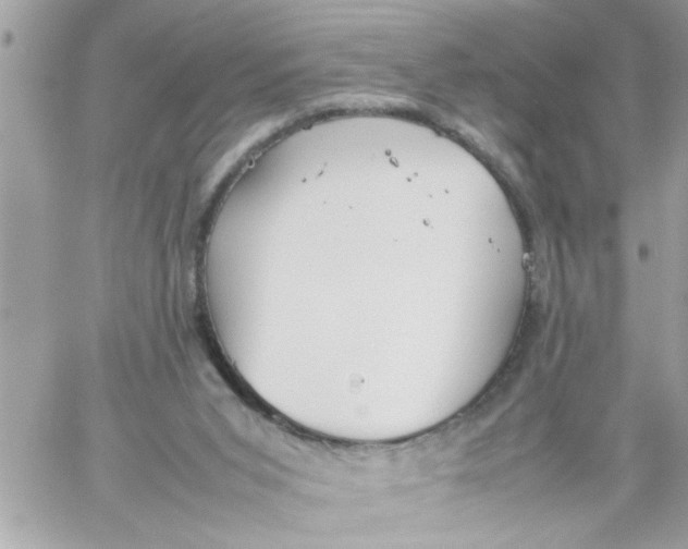 X0000057100015200510071949