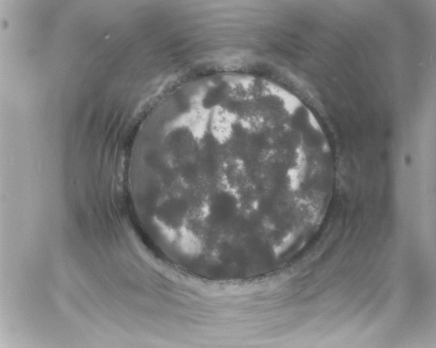 X0000057100018200510071949