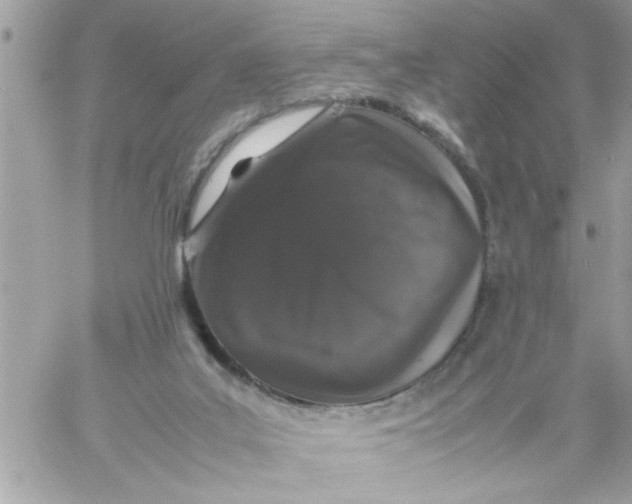 X0000057100019200510071949