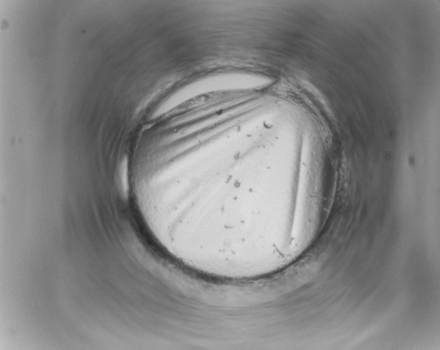 X0000057100020200510071949