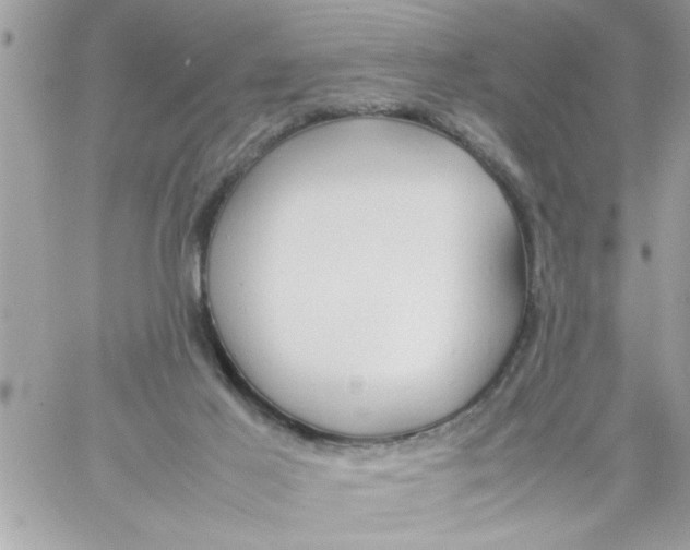 X0000057100021200510071949