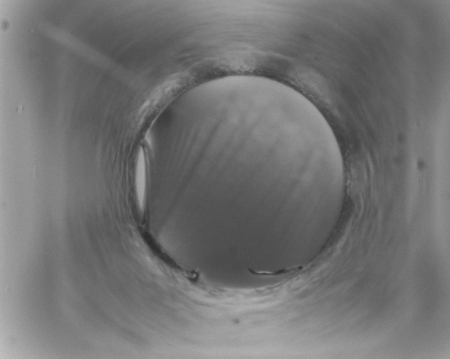 X0000057100023200510071949