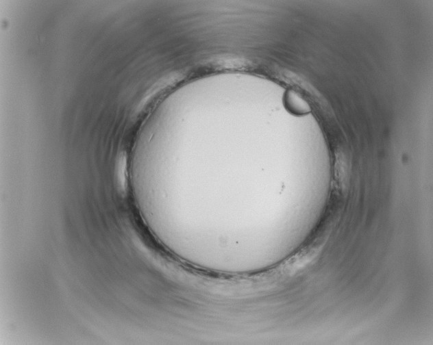 X0000057100024200510071949