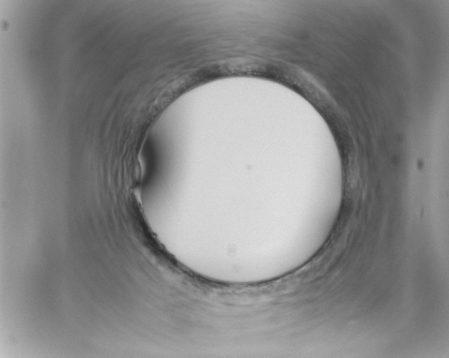 X0000057100025200510071949