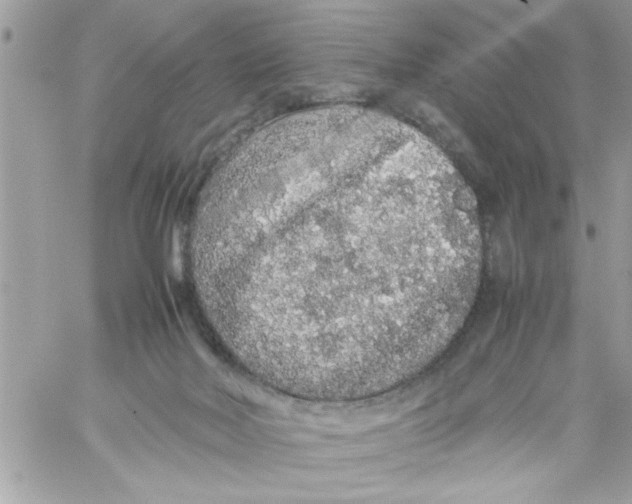 X0000057100026200510071949