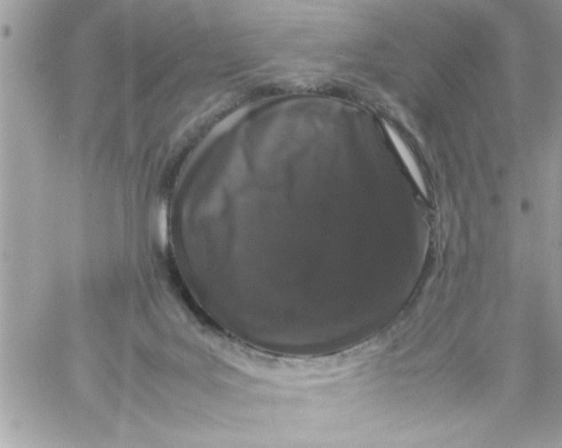 X0000057100027200510071949