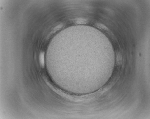 X0000057100028200510071949