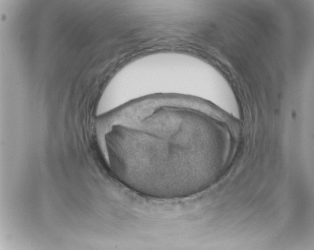 X0000057100029200510071949