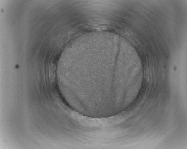 X0000057100030200510071949