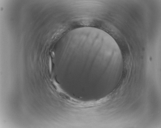 X0000057100031200510071949