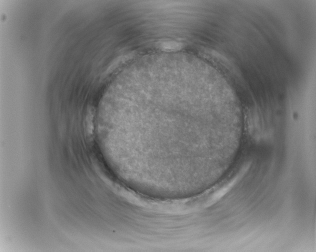 X0000057100032200510071949