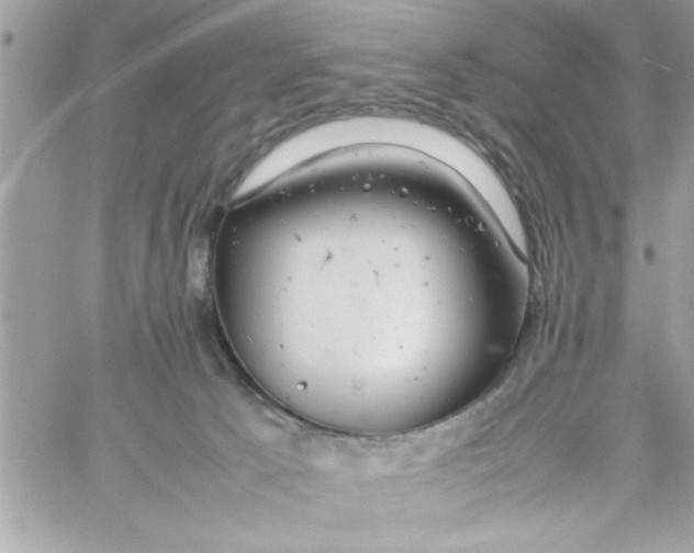 X0000057100033200510071949