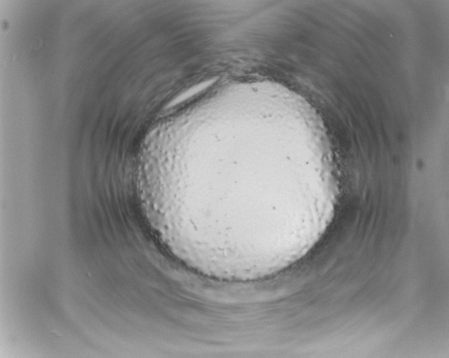 X0000057100034200510071949