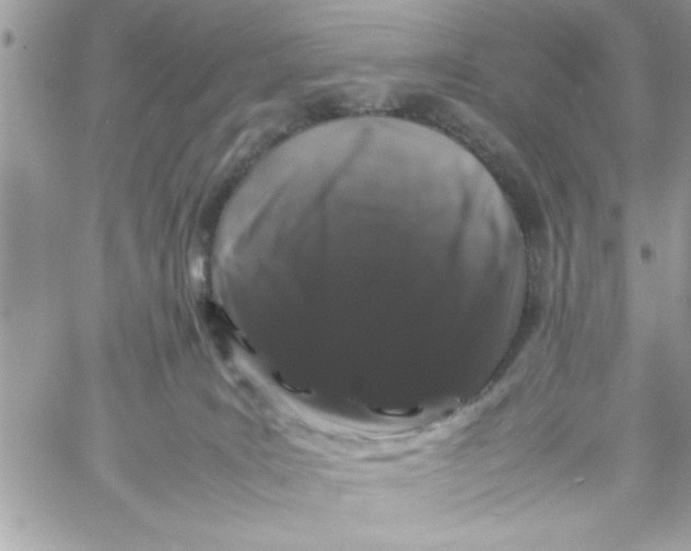 X0000057100035200510071948