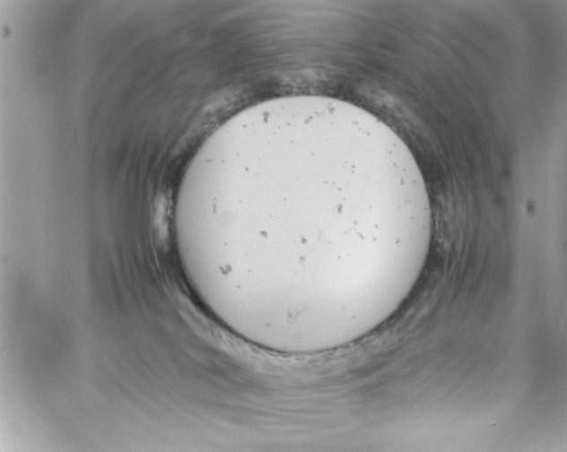 X0000057100038200510071948